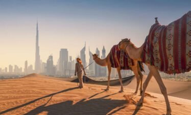 Dubai City Tour + Desert Safari