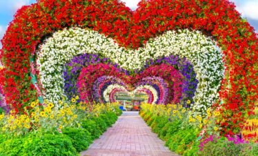 Miracle Garden