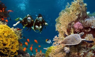 Scuba Diving